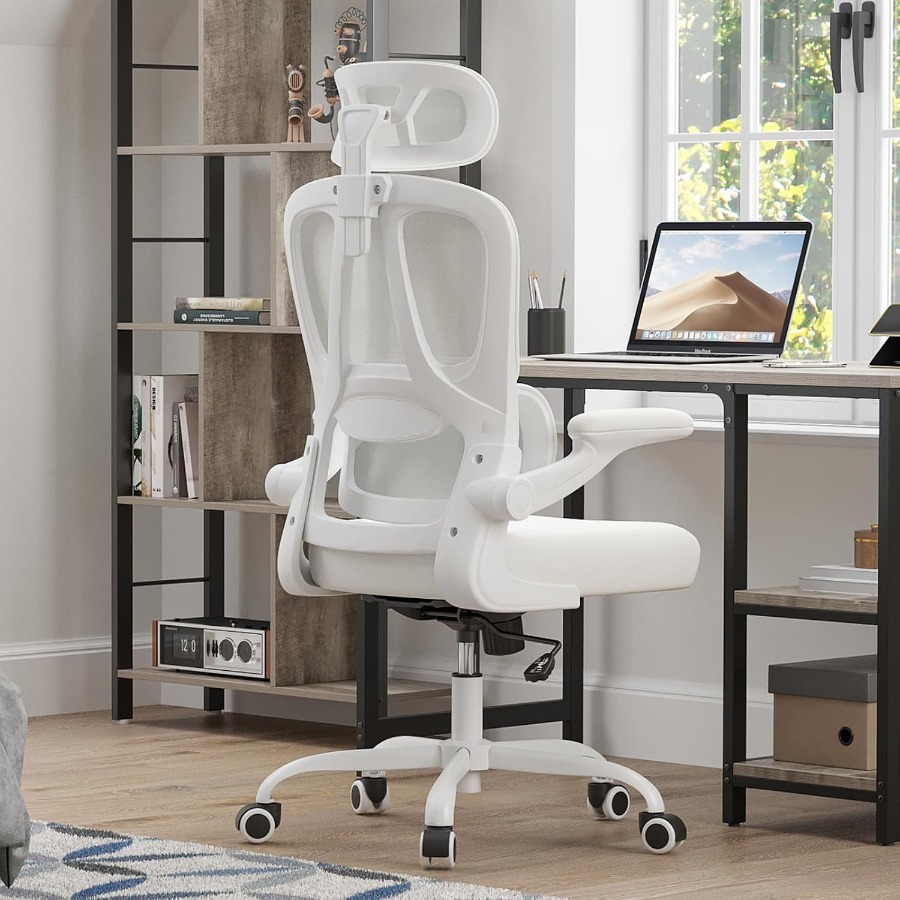 เก้าอี้สำนักงานที่ออกแบบตามหลั - Ergonomic Office Chair บทวิจารณ์และราคา