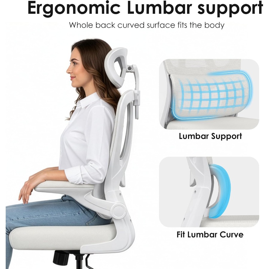 เก้าอี้สำนักงานที่ออกแบบตามหลั - Ergonomic Office Chair บทวิจารณ์และราคา